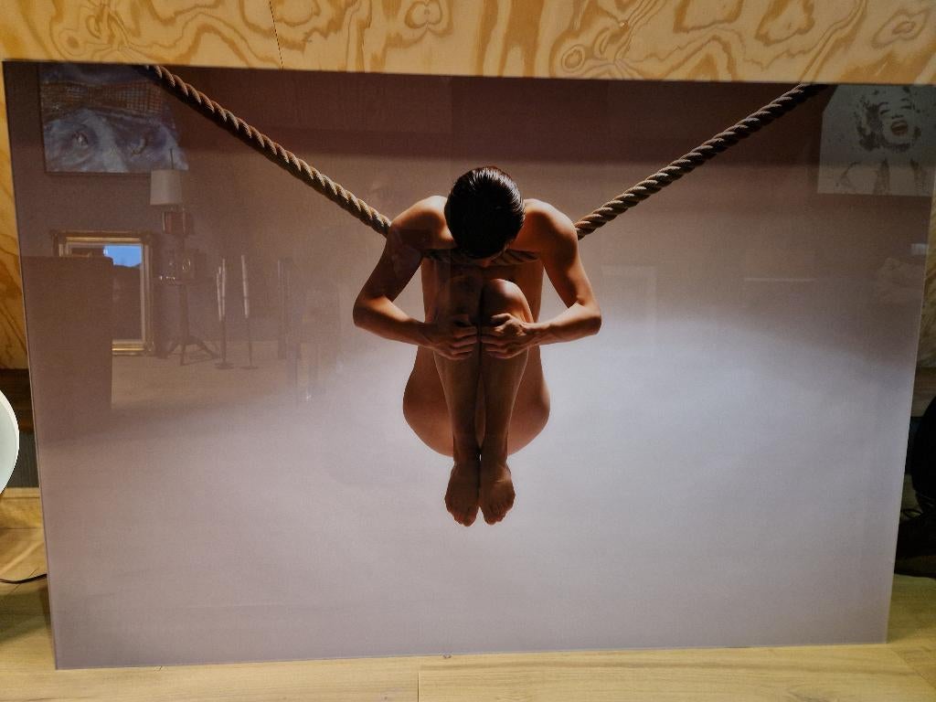 Cobra Art Foto op Plexiglass " Balance of Power ", Ophalen of Verzenden