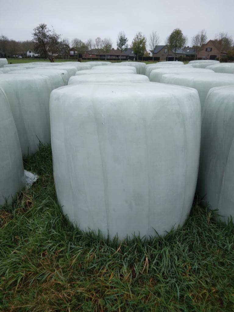 Foin pré-sec (1ère coupe), Animaux & Accessoires, Box & Pâturages, 1 cheval ou poney