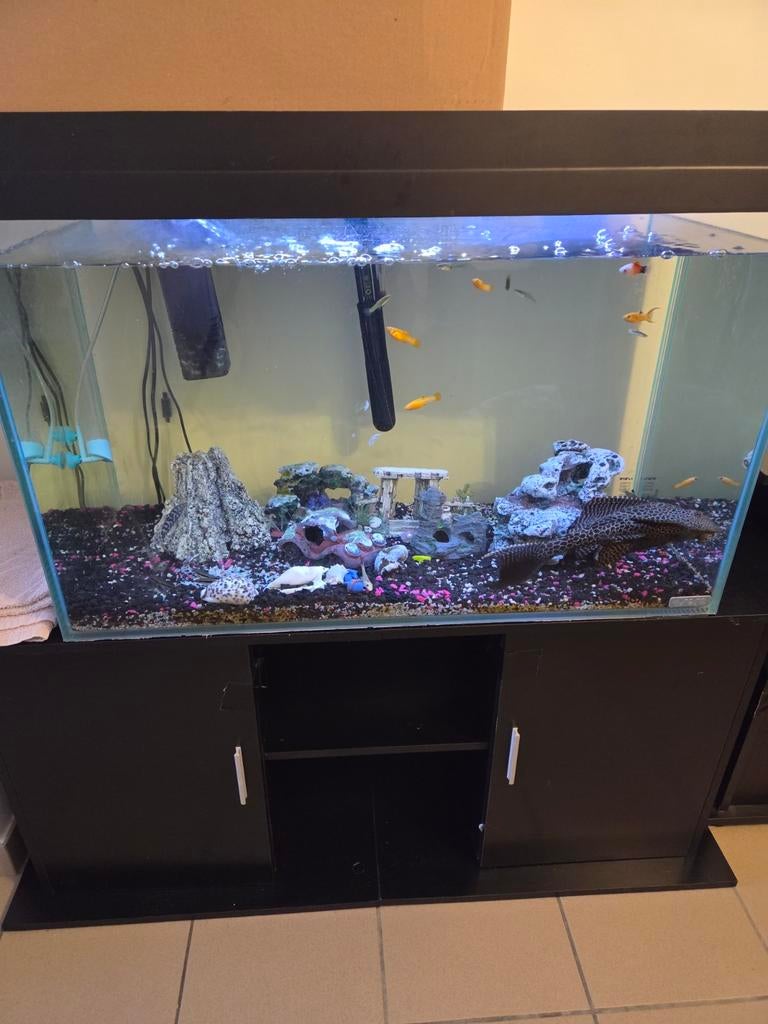 Aquarium et armoire, Animaux & Accessoires, Poissons | Aquariums & Accessoires, Enlèvement