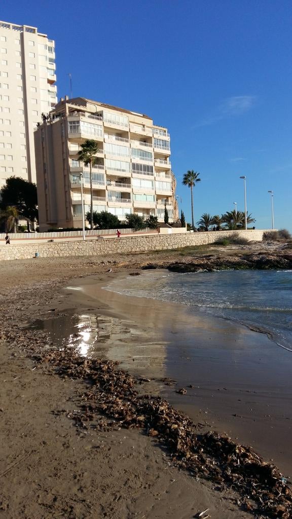 Espagne Calpe appartement 1ère ligne avril mai à louer