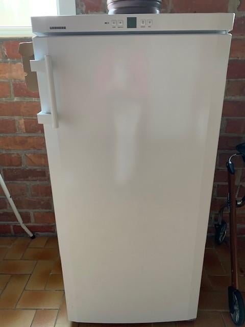 diepvries, Ophalen, Zo goed als nieuw, Vrijstaand, Vrieskast