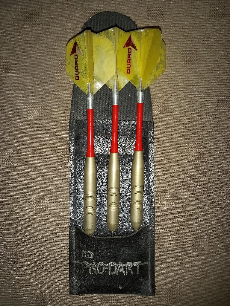 Darts pijlen in etui, Sport en Fitness, Darts, Ophalen of Verzenden, Zo goed als nieuw, Pijlen