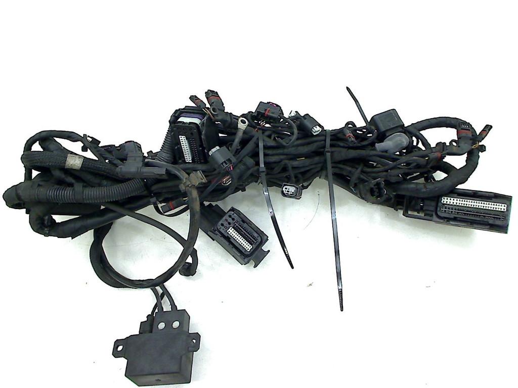 FAISCEAU DE CÂBLAGE DIVERS F 800 GS 2008-2012 (F800GS 08), Dhr. S. di Majo, Utilisé, Info@cama-motorparts.nl, P.J. Troelstraweg 8 8
3144 CX  MAASSLUIS, NL