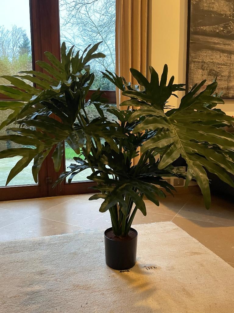 kunstplant Philodendron Xanadu, Ophalen