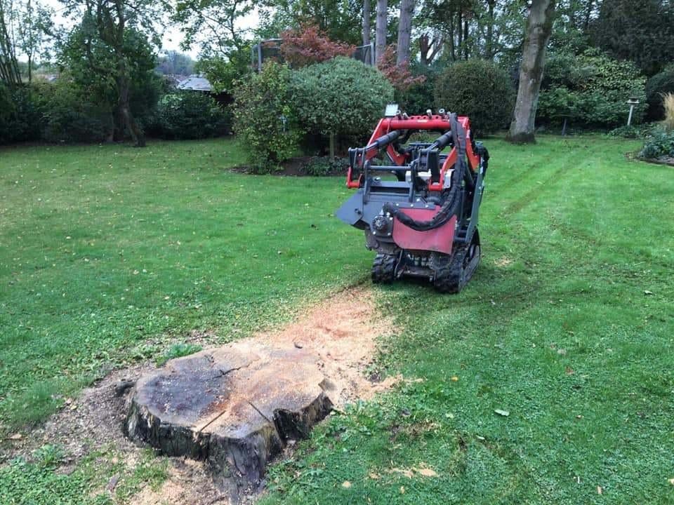 Rogneuse de souche, Enlèvement, Autres types