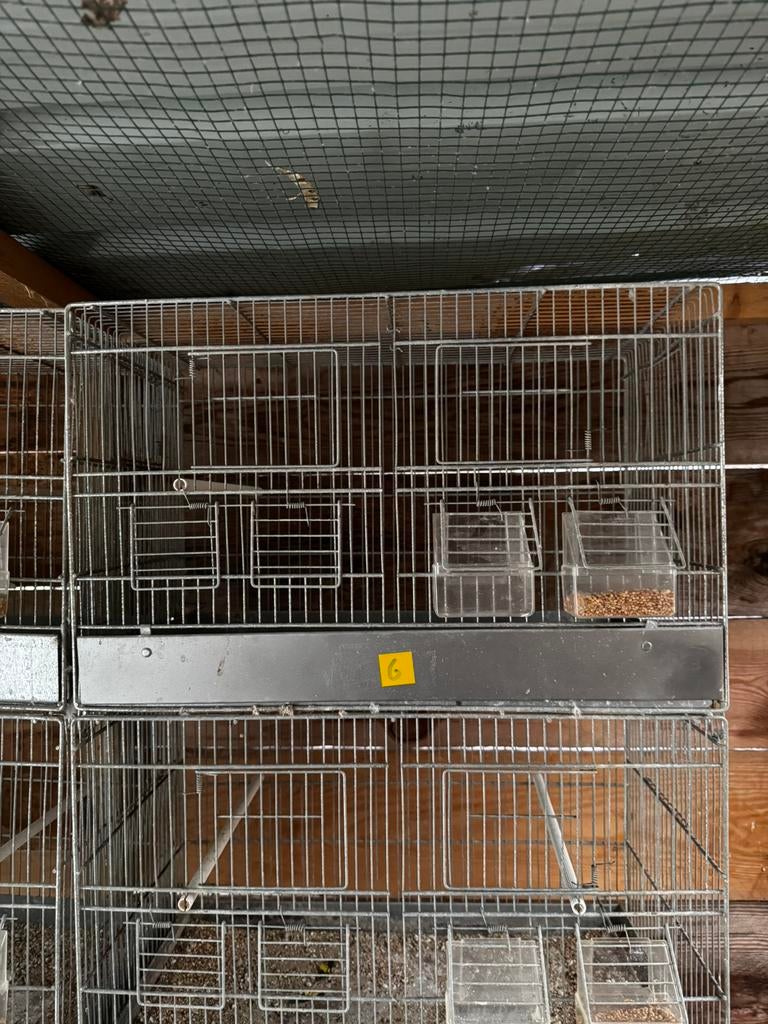 32 draadkooien, Dieren en Toebehoren, Vogels | Hokken en Kooien, Ophalen, Zo goed als nieuw