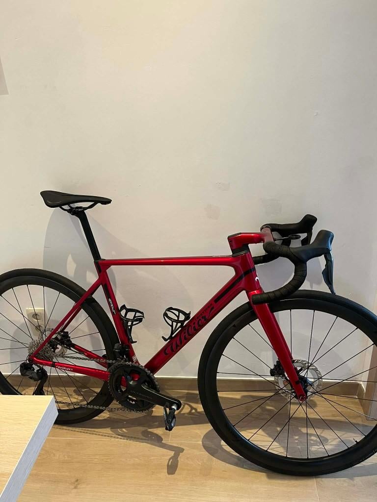 wilier verticale slr, Enlèvement, Neuf, Carbone