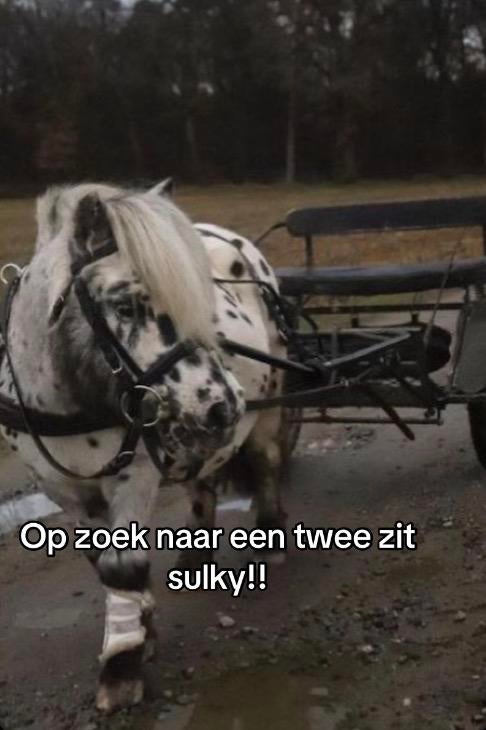 Twee zit sulky gezocht !!, Animaux & Accessoires, Chevaux & Poneys | Brides & Harnachement, Comme neuf, Enlèvement ou Envoi