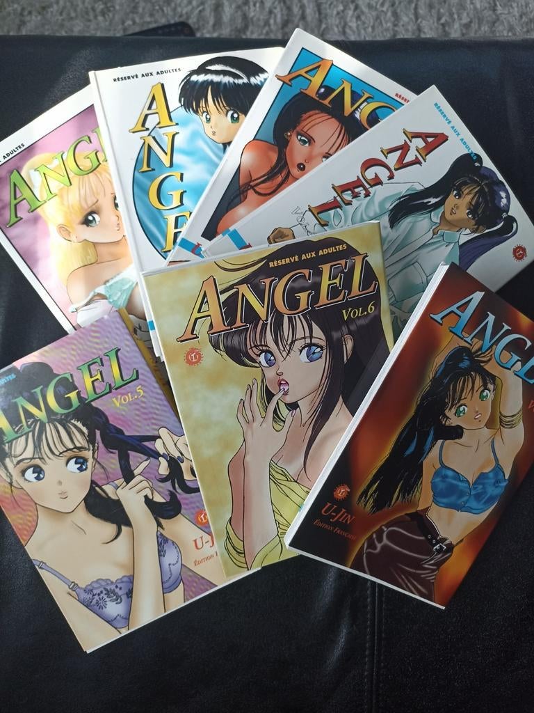 Intégrale manga Angel de U-Jin 7 volumes ( pour adultes), Livres, Enlèvement ou Envoi