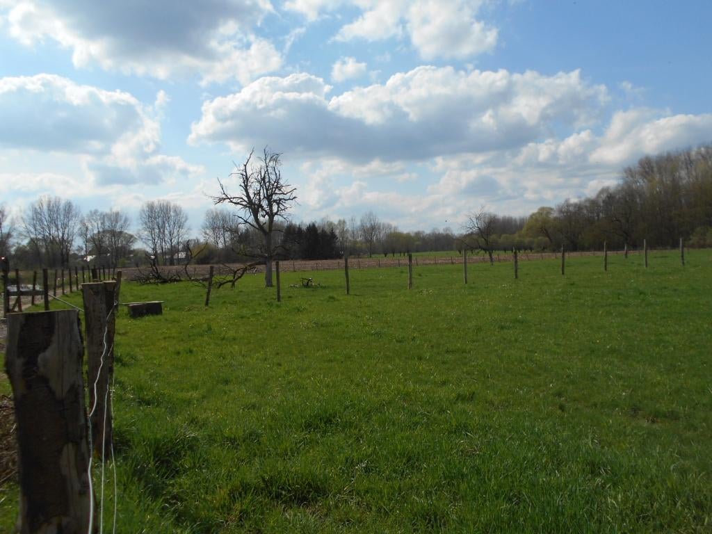 Weide / Landbouwgrond, Immo, 1500 m² of meer