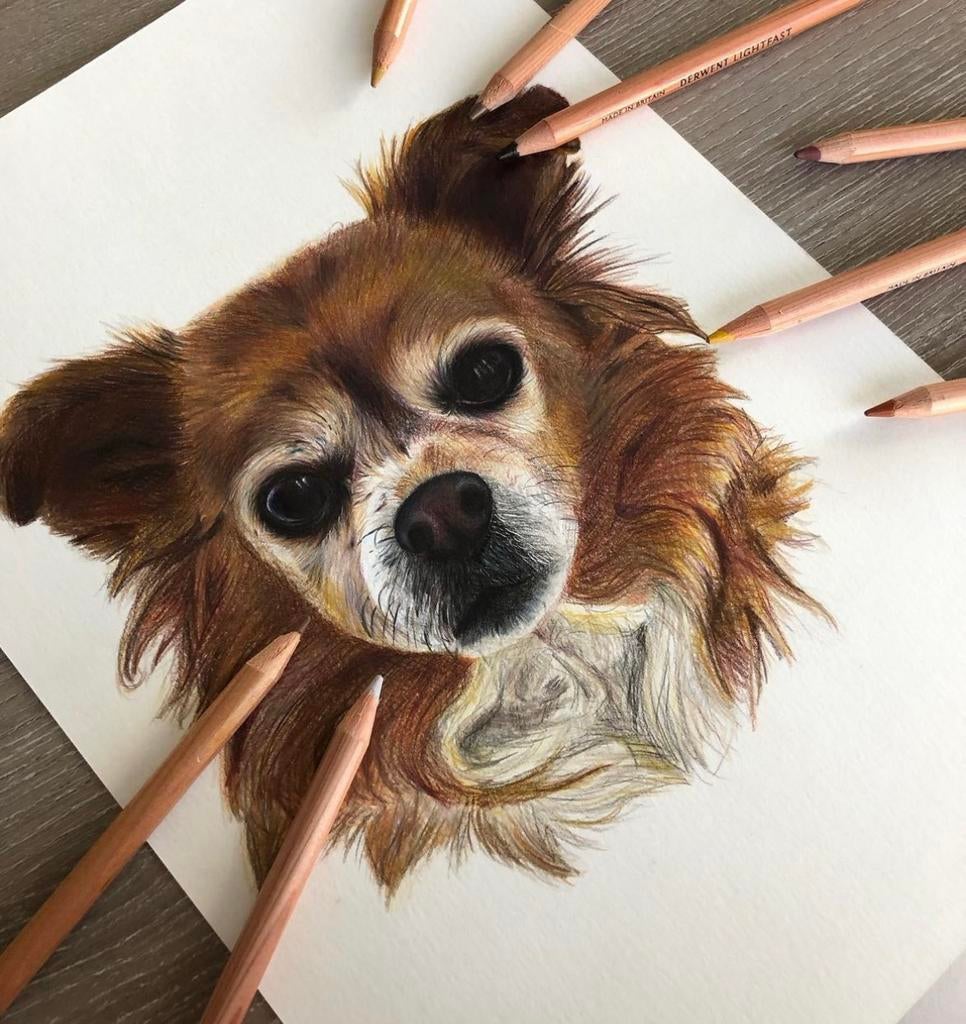 Portret  van je eigen huisdier, Ophalen