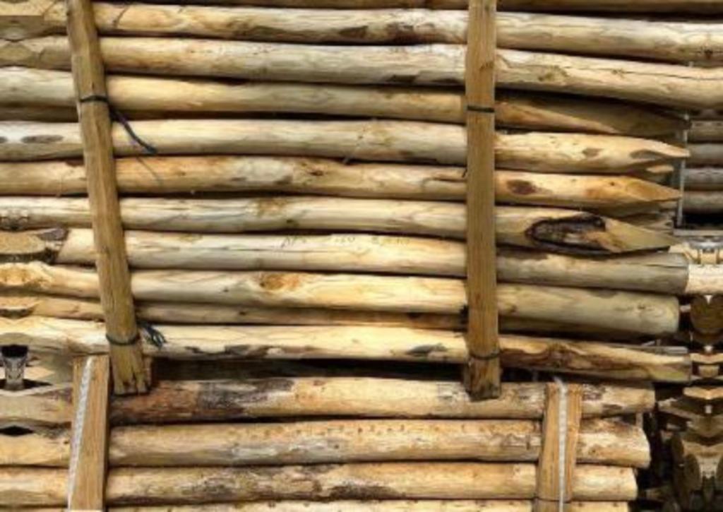 KASTANJE PALEN, Tuin en Terras, Ophalen of Verzenden, Nieuw, 180 tot 250 cm, Palen