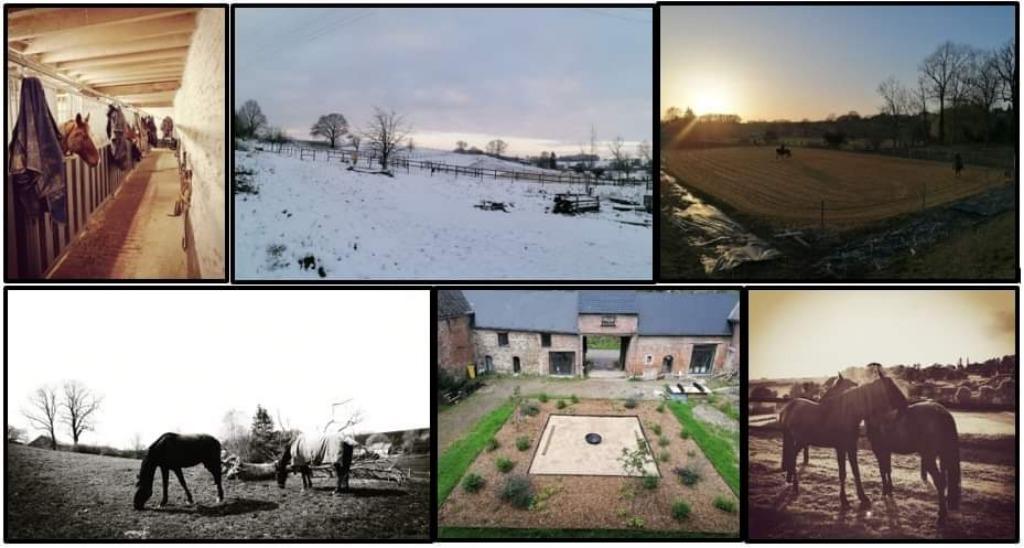 Box chevaux DSL IX, Animaux & Accessoires, Box & Pâturages, Pâturage, 1 cheval ou poney