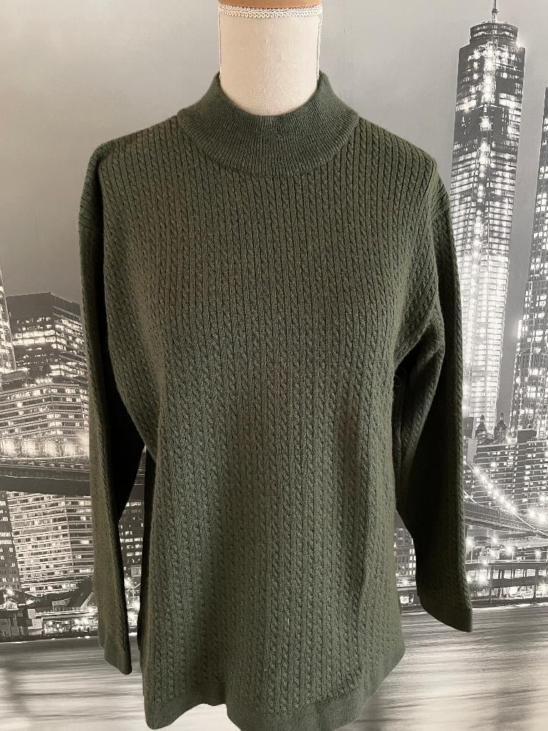 prachtige groene trui pull wol - 38, Vêtements | Femmes, Pulls & Gilets, Envoi, Comme neuf, Taille 38/40 (M), Vert