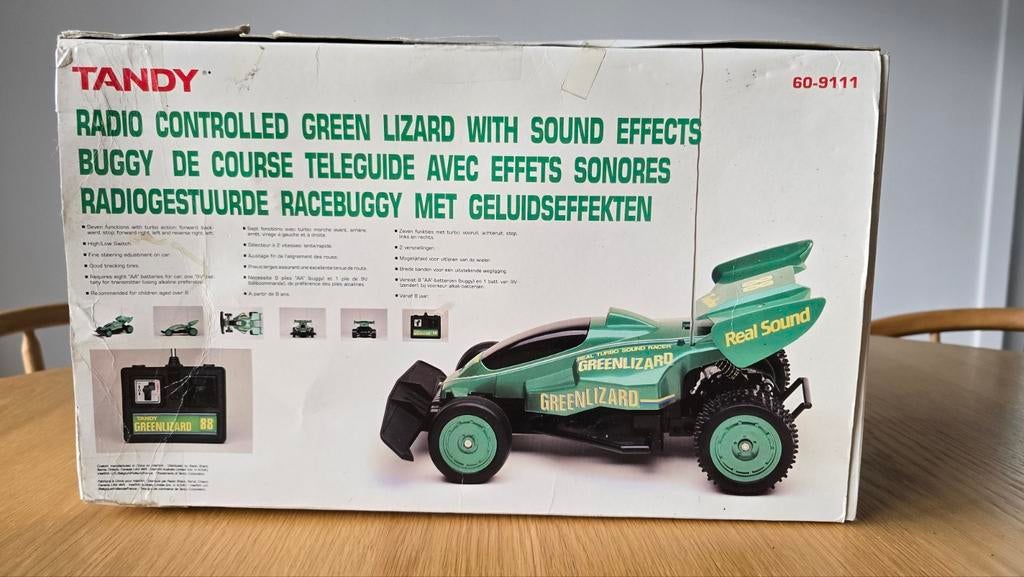 RC Tandy Green Lizard Buggy, Hobby en Vrije tijd, Ophalen of Verzenden, Gebruikt, Auto, Overige merken