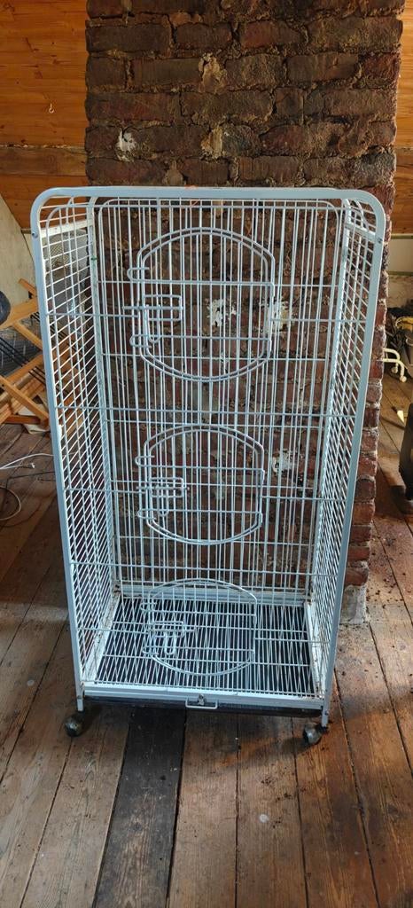 Cage a vendre, Enlèvement, Cage, Chinchilla