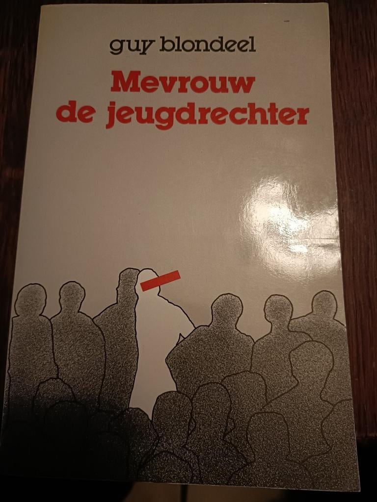 Mevrouw de jeugdrechter, Ophalen of Verzenden, Zo goed als nieuw