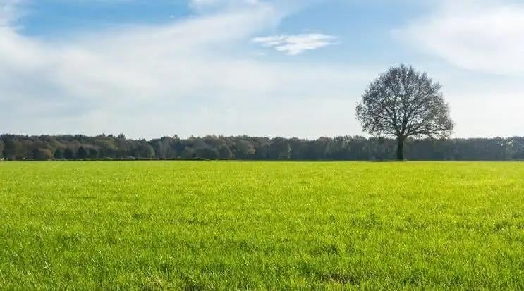 Grasland gezocht, Ophalen