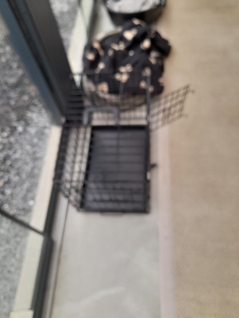 bench te koop, Animaux & Accessoires, Caisses pour chiens, Enlèvement, Neuf