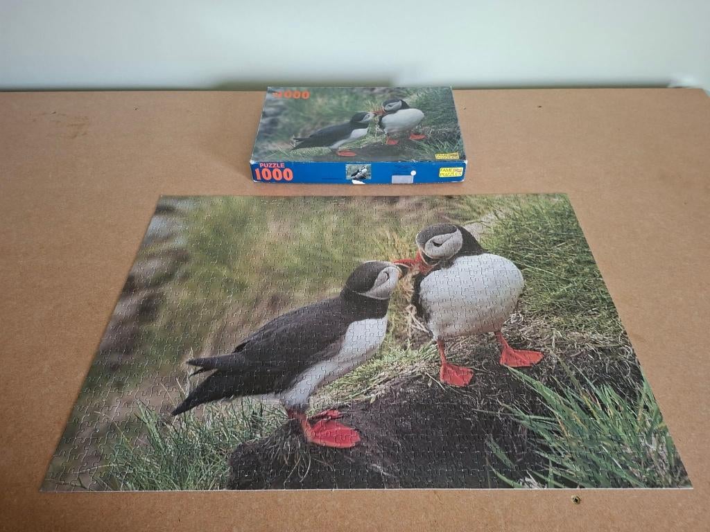 Puzzles Fame : puzzle représentant 2 plongeurs perroquets, Enlèvement ou Envoi, 500 à 1500 pièces, Utilisé, Puzzle