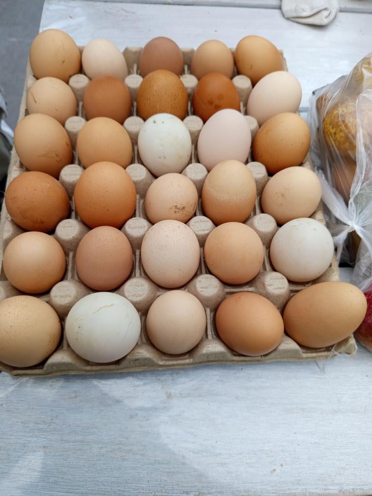 Œufs frais, Enlèvement