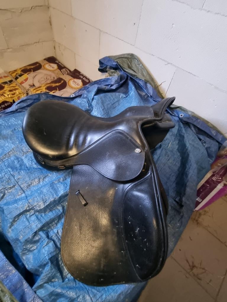 A vendre, Animaux & Accessoires