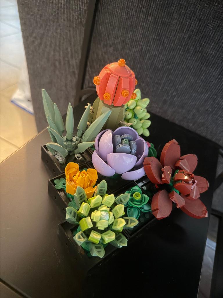 LEGO Vetplanten Botanical Collection – 10309, Enfants & Bébés, Jouets | Duplo & Lego, Enlèvement, Comme neuf, Ensemble complet