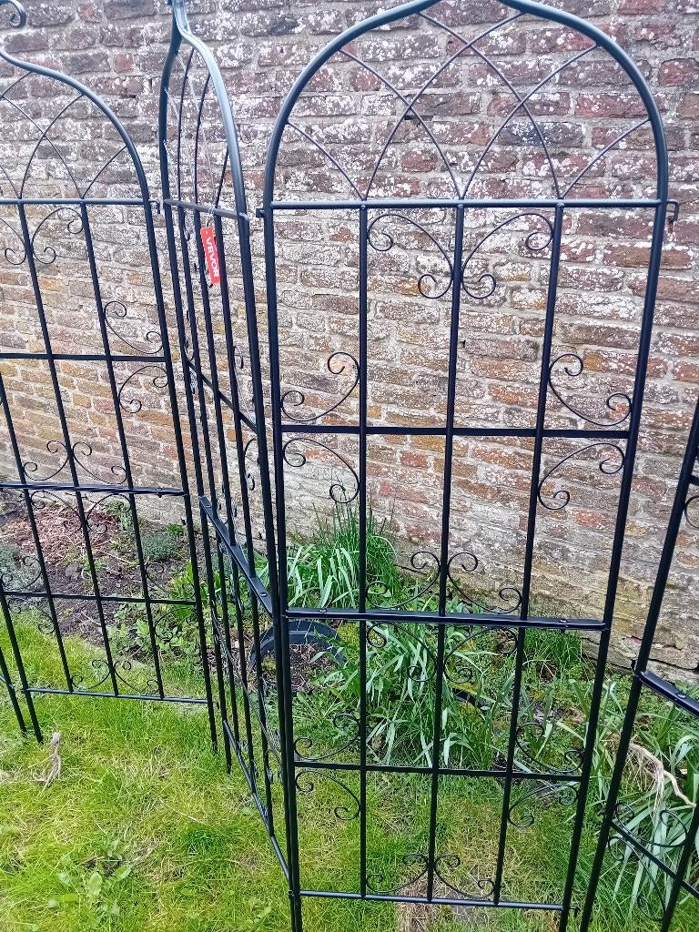 Metalen bloementralis, Jardin & Terrasse, Annuelle, Printemps, Enlèvement, Plantes grimpantes