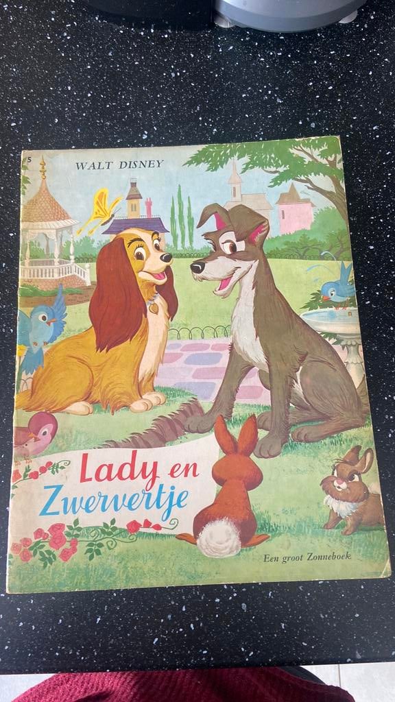 Walt disney lady en zwervertje boek, Boeken, Ophalen of Verzenden, Zo goed als nieuw