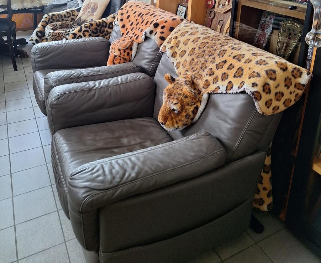 Lederen zetels, Ophalen