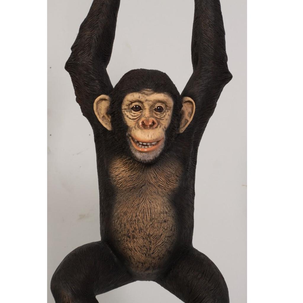 Hanging Chimpansee – Aap beeld Hoogte 98 cm, Ophalen, Nieuw