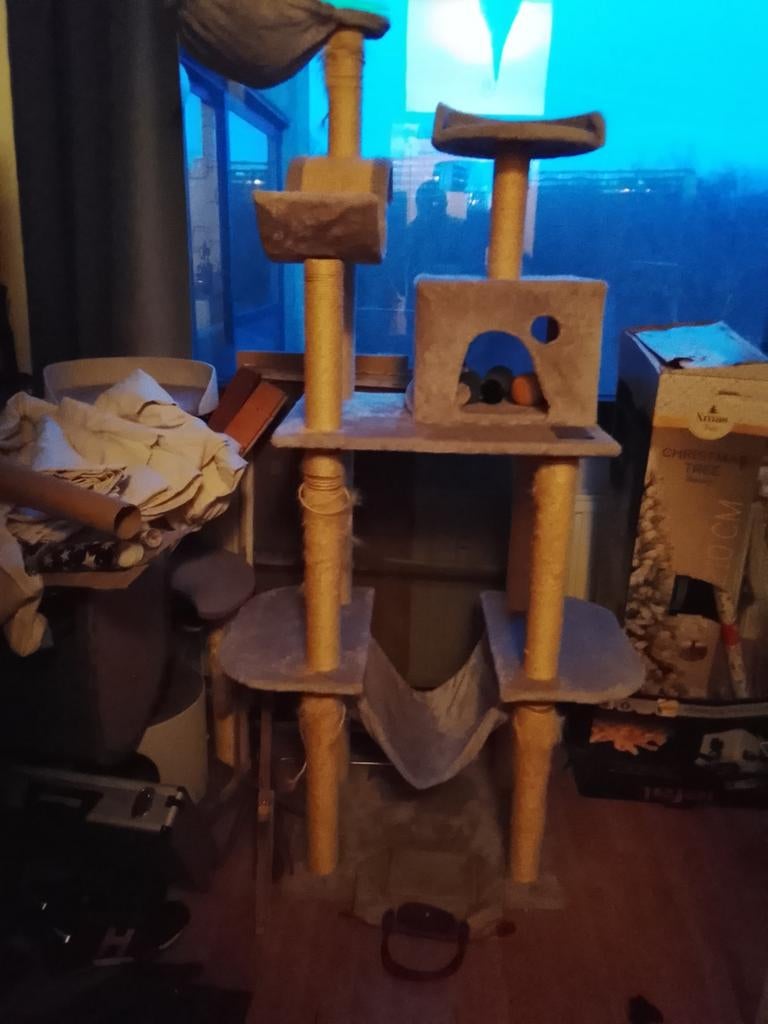 Arbre a chat, Animaux & Accessoires, Enlèvement