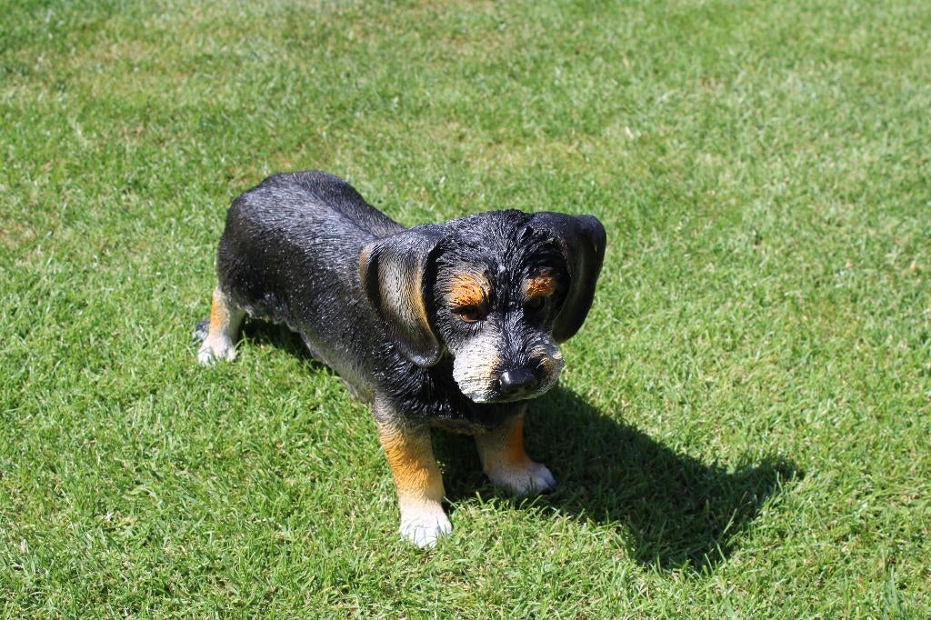 Standbeeld van een levensgrote TECKEL!, Ophalen of Verzenden, Nieuw, Kunststof, Dierenbeeld