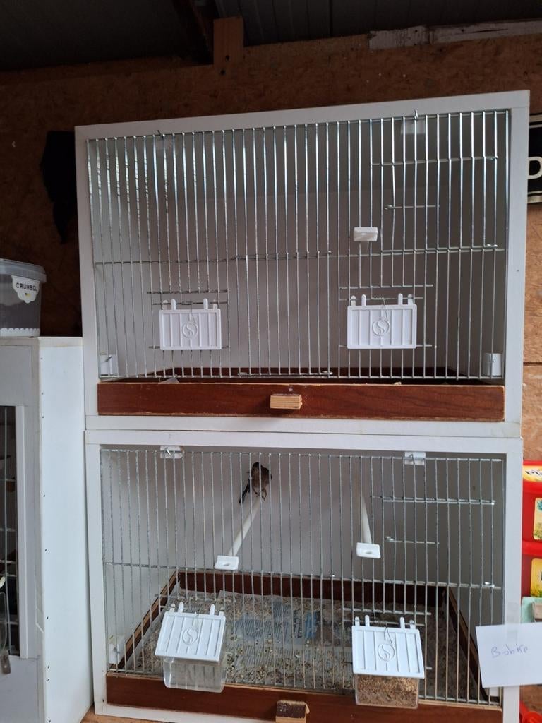 Vinkenkooi (winterverblijf), Enlèvement, Comme neuf