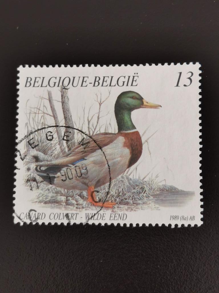 Belgie 1989 - vogels - eenden - wilde eend - uit boekje, Ophalen of Verzenden, Gestempeld, Overig