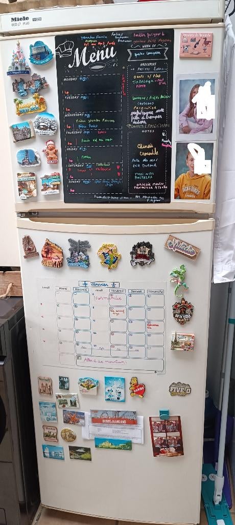 Grand frigo Miele avec partie congélateur eco plus tbetat, Enlèvement, Utilisé