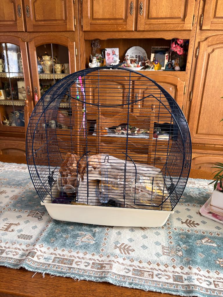 Belle Cage oiseau plus petits accessoires, Dieren en Toebehoren, Vogels | Hokken en Kooien, Ophalen, Gebruikt, Metaal, Vogelkooi