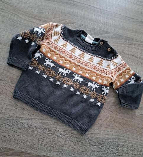 Hema wintertrui 74, Kinderen en Baby's, Babykleding | Maat 74, Truitje of Vestje, Ophalen of Verzenden, Zo goed als nieuw, Hema