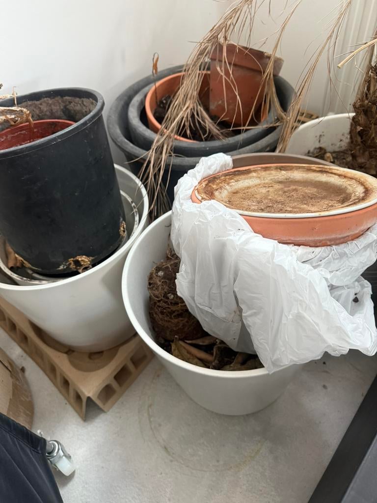 Assortiment plantenpotten (15-tal), vrij groot, Ophalen, Zo goed als nieuw