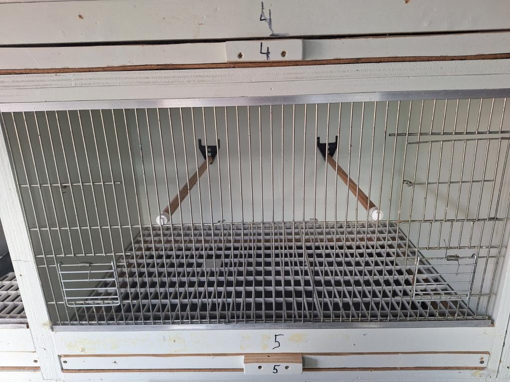 Kweekkooien met ledverlichting