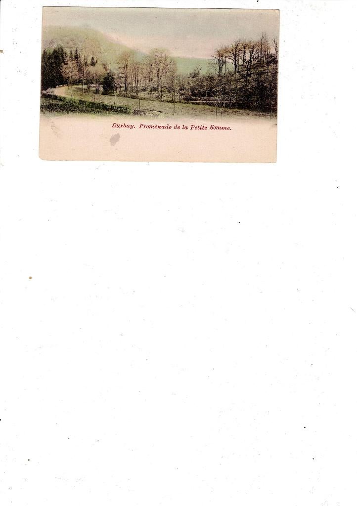 DURBUY PROMENADE DE LA PETITE SOMME /B521, Collections, Cartes postales | Belgique, Non affranchie, Luxembourg, Avant 1920, Envoi