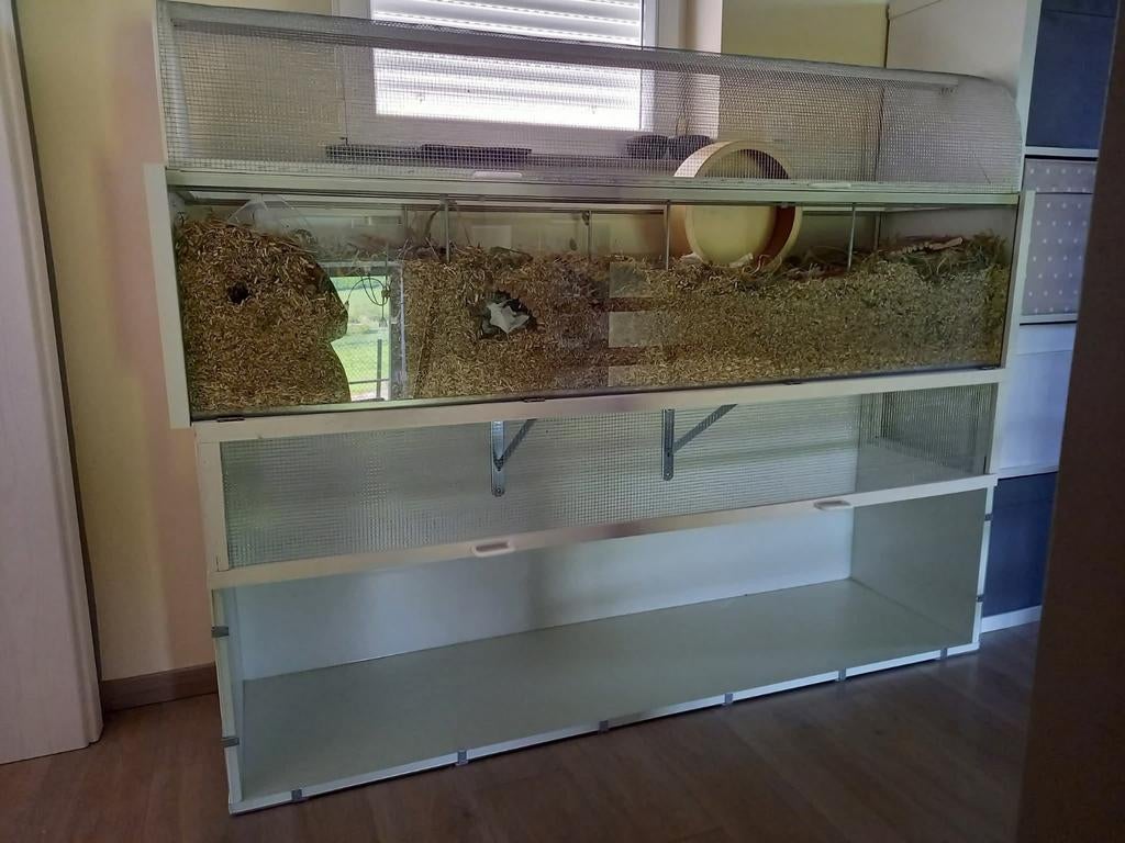 2 habitats hamster /gerbille, Hamster