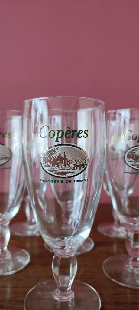5 glazen Brasserie Copères (Dinant), Verzamelen, Ophalen, Zo goed als nieuw, Bierglas
