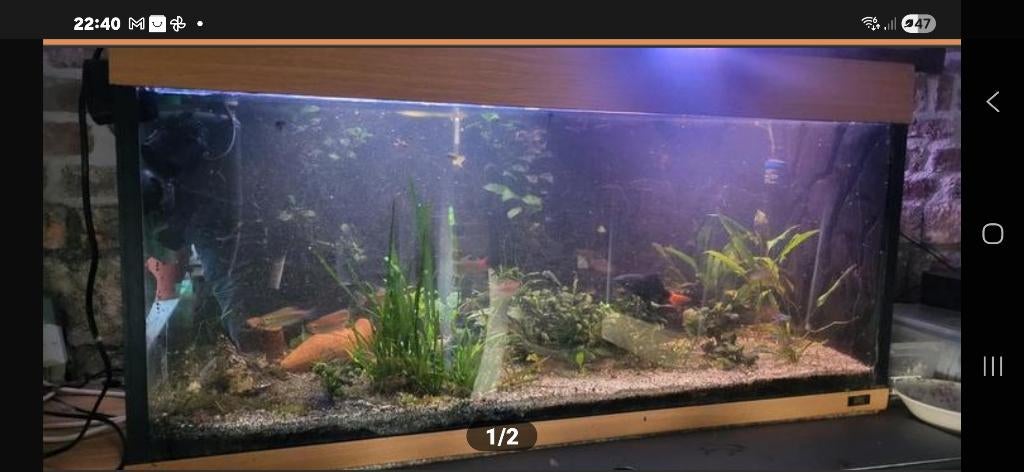 Aquarium, Ophalen, Gebruikt, Gevuld zoetwateraquarium, Eheim