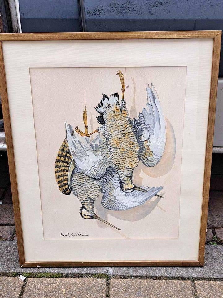 Aquarelle oiseaux signe paul georges klein, Antiquités & Art, Enlèvement ou Envoi