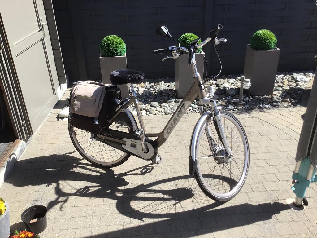 Elektrische fiets, Ophalen, Zo goed als nieuw, Giant