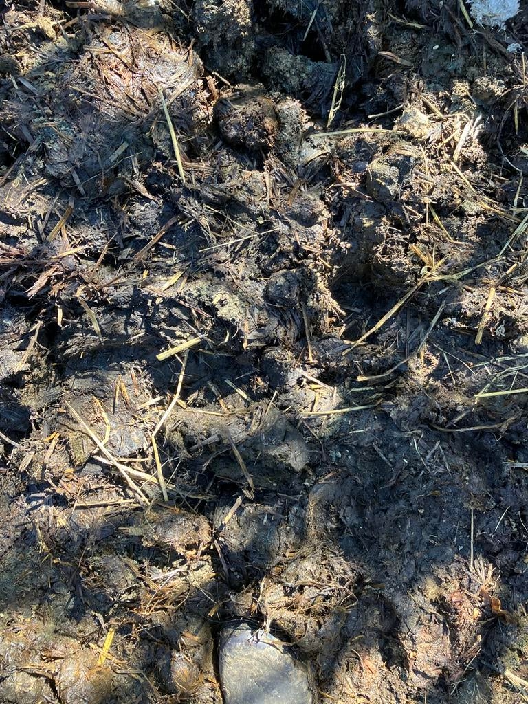 Gratis paardenmest, Ophalen, Mest