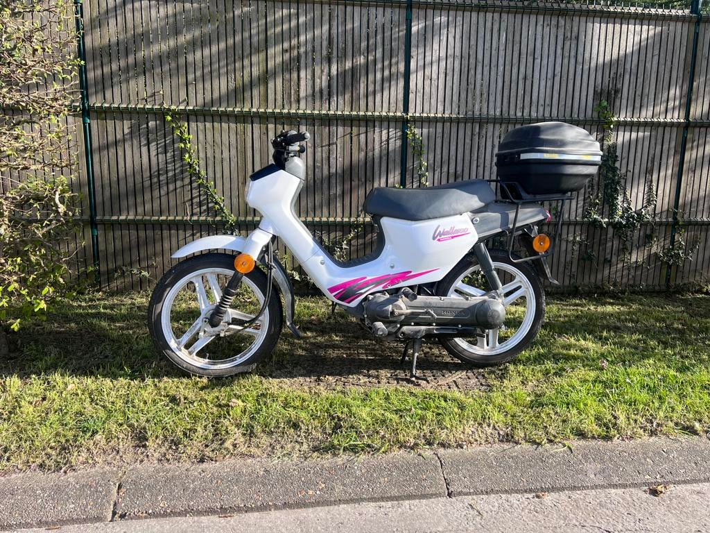 Honda Walleroo B klasse, Fietsen en Brommers, Brommers | Tomos, Ophalen, Gebruikt, Overige modellen, Klasse B (45 km/u)