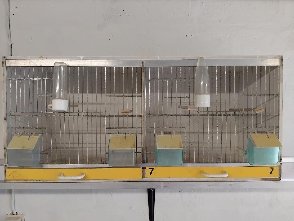 cages élevage canaris, Animaux & Accessoires, Enlèvement, Utilisé, Synthétique, Cage d'élevage