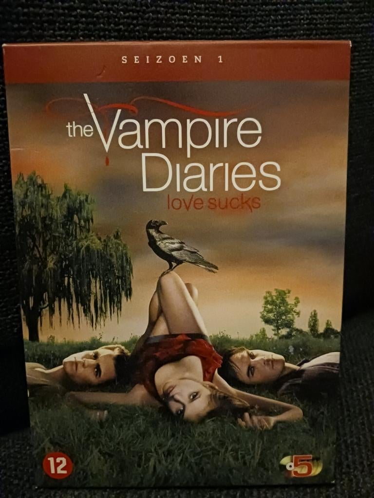 The Vampire Diaries - complete seizoen 1, CD & DVD, DVD | TV & Séries télévisées, Horreur, Coffret, Enlèvement, Utilisé